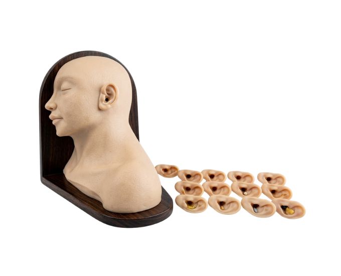 Advanced Ear Inspection Simulator with Interchangeable Ear Pathology Components - Product Image