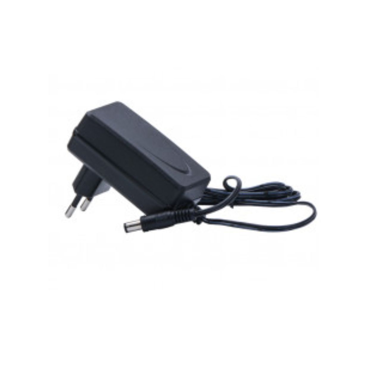 12V 1A DC Power Supply Adapter