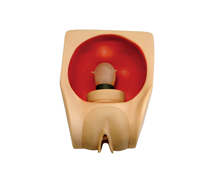 Female Contraception Practice Simulator - Product Image