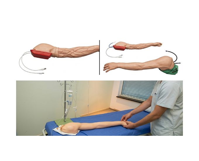 Full Functional Vein Injectable Arm with Advanced Venipuncture and Injection Training