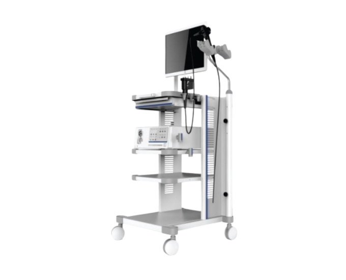 Gastrointestinal and Colon Video Endoscopy System for Diagnostic Imaging
