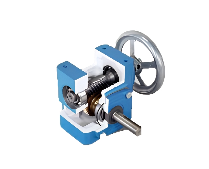 Cutaway Model – Worm Gear