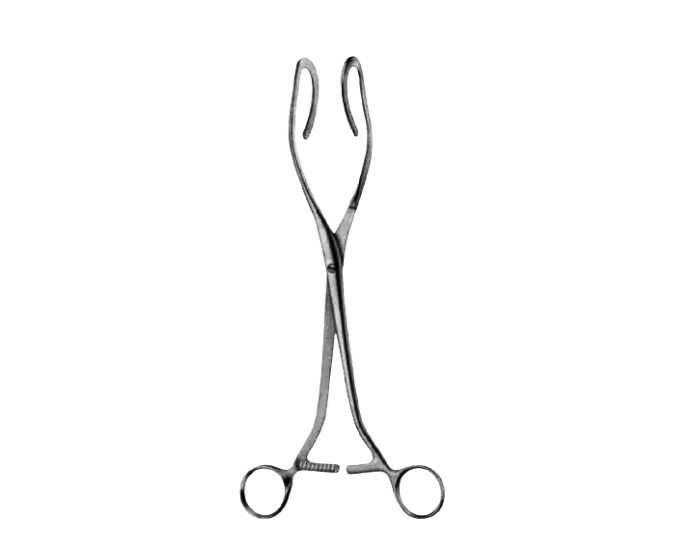 Uterus Holding Forceps Dartigues 25CM 10"