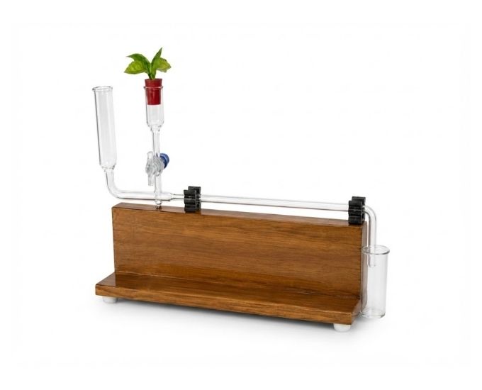 Ganong's Potometer on Wooden Base