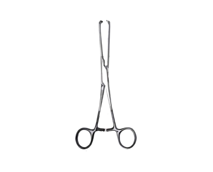 Allis Tissue Forceps with Tungsten Carbide Jaws for Surgical Precision