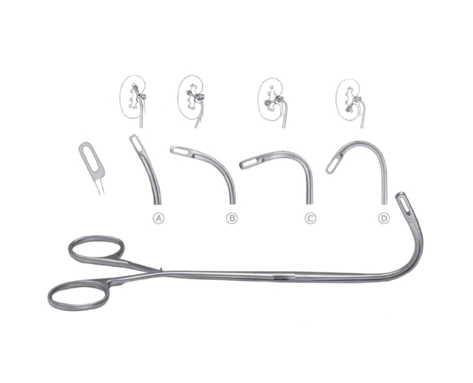 Desjardin Gall Stone Forceps for Biliary Surgical Procedures