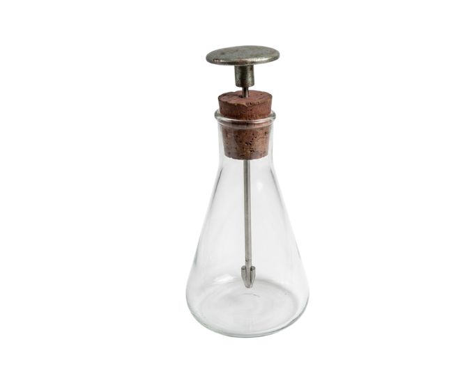 Gold Leaf Electroscope in Glass
