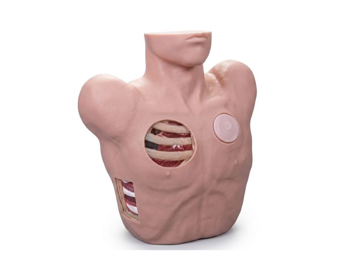 Thoracentesis and Chest Drainage Training Model with Adjustable Fluid Simulation - Product Image