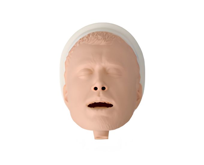 Simple Adult Airway Management Model - Product Image