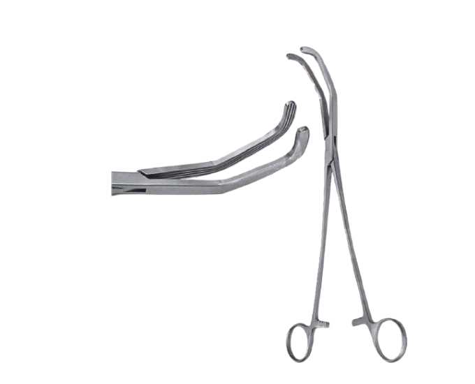 Bronchus Clamp Without Teeth for Thoracic Surgery