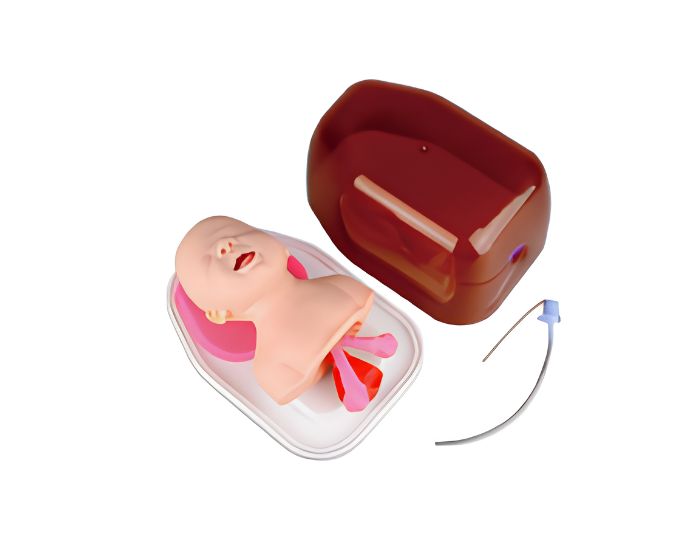Infant Intubation Manikin - Product Image