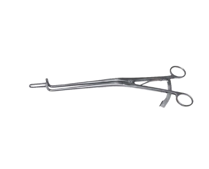 Endocervical Speculum for Gynecological Examination