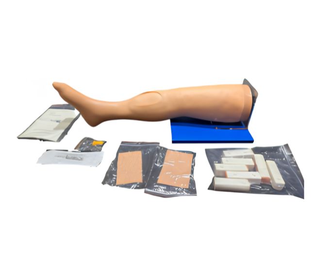 Adult Tibia IOI Training Model - Product Image