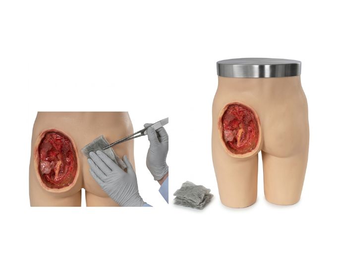 Adult Intramuscular Injection Training Manikin with Gluteal Structure Visibility