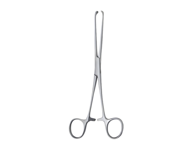 Allis Tissue Forceps for Surgical and Clinical Use