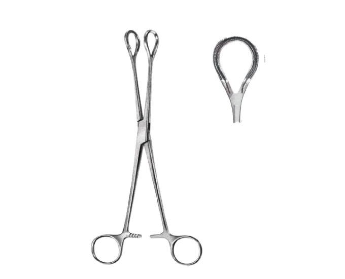 Autarma Polypus Forceps 25CM  10" for Gynecological Procedures