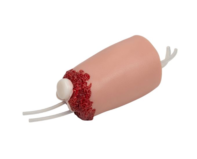 Lower Limb Amputation and Hemostasis Training Model with Femoral Artery Compression - Product Image