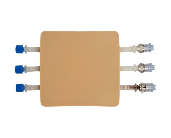 3-Vessel Arterial Blood Gas Trainer for ABG Sampling and A-Line Placement - Product Image