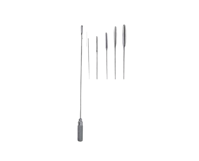 Malleable Probe on Handle with Multiple Tip Sizes for Surgical Use