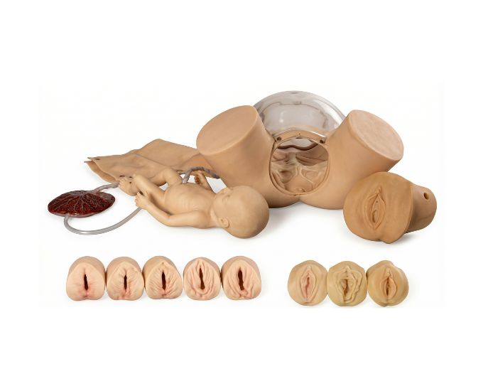 Child Birth Skill Training Simulator with Cervix Examination Model
