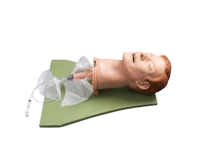 Multifunction Airway Management Training Model with Intubation and Auscultation