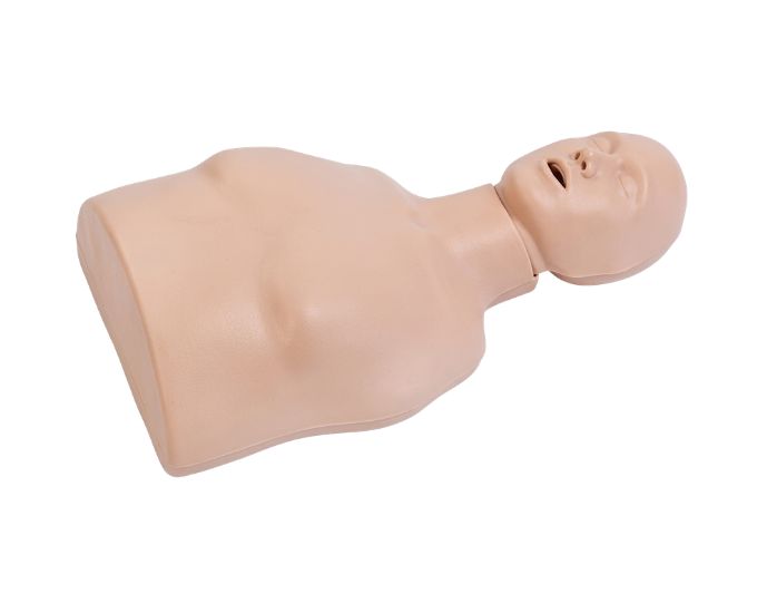 Simplicity CPR Training Manikin for Basic Resuscitation Practice - Product Image