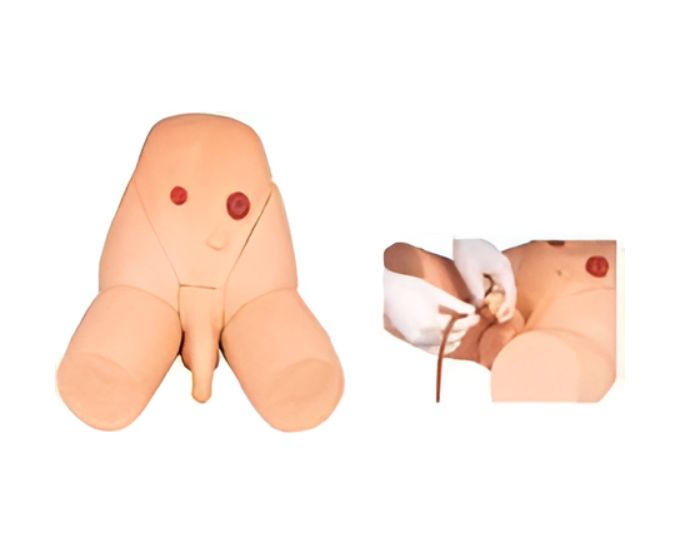 Male Catheterization Training Model with Realistic Urethral Resistance
