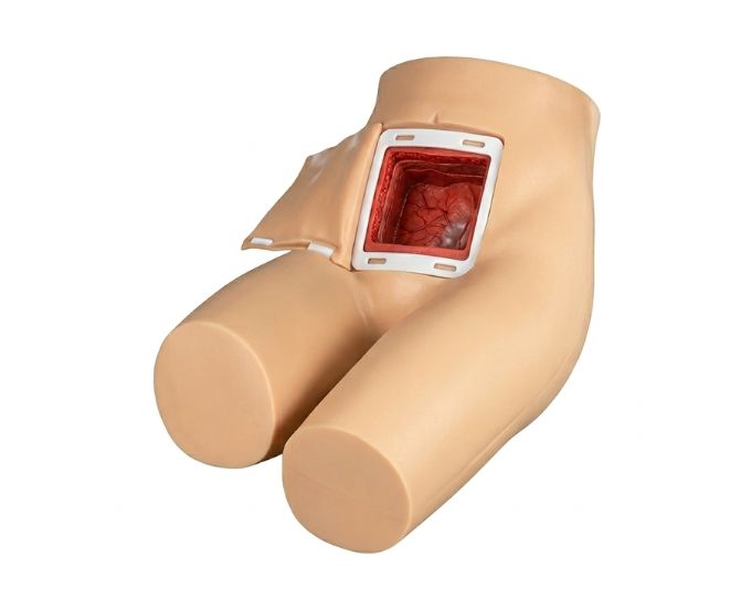 Enema and Assisted Defecation Training Simulator for Patient Care - Product Image