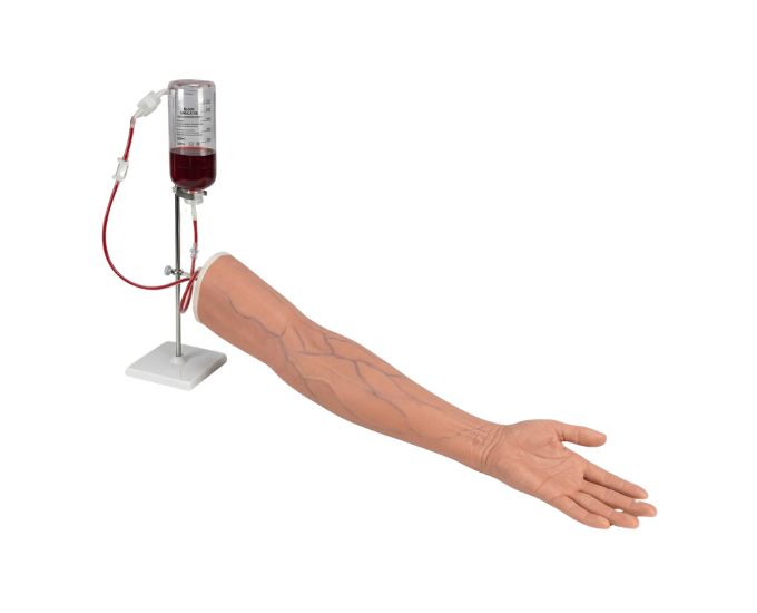 Injectable Training Arm for Venipuncture and Intramuscular Injection Practice