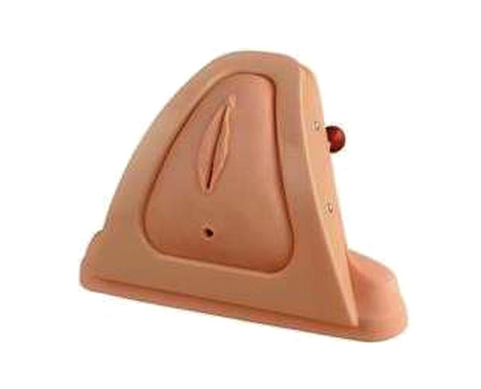 Perineum Cutting and Suturing Training Simulator - Product Image