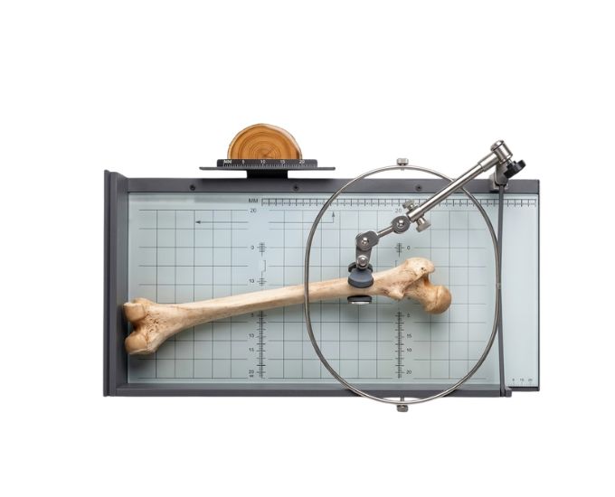 Osteometric Board