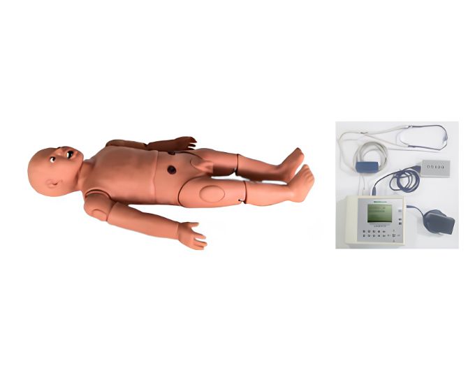 Child Auscultation Manikin - Product Image