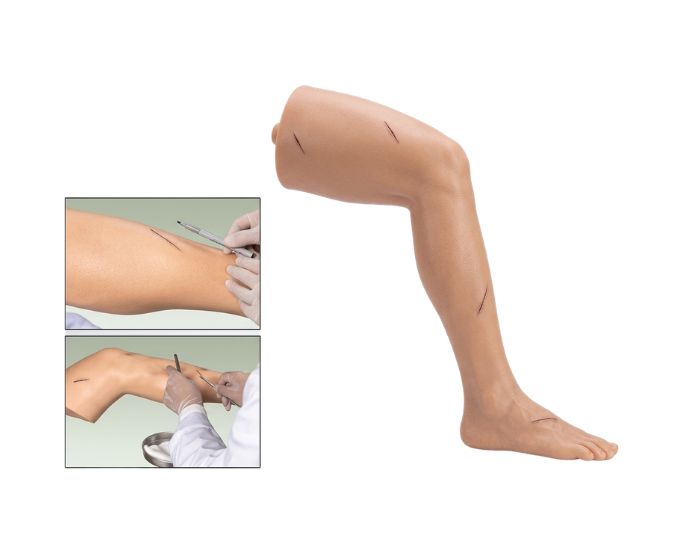 Advanced Surgical Suture Training Leg Model with Elastic Skin