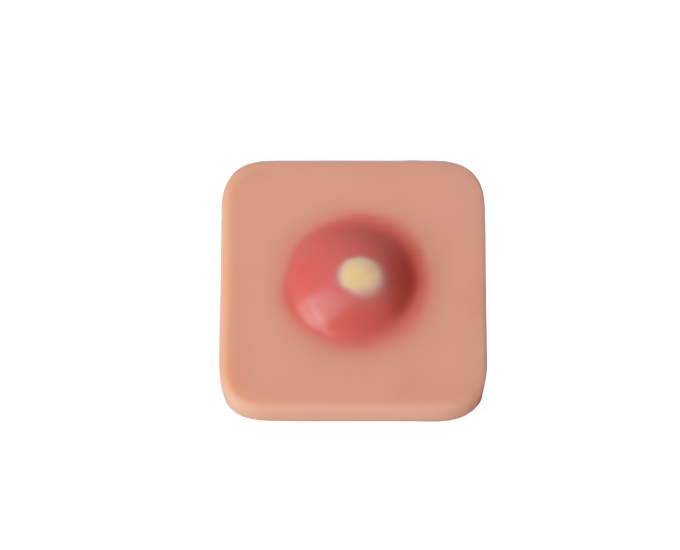 Surgical I&D Simulation Pad - Product Image