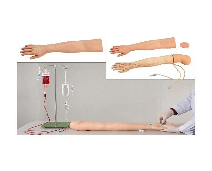 Multifunctional Adult IV Training Arm with Venipuncture and Injection Practice