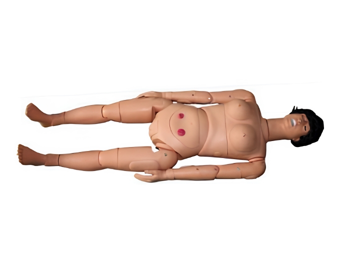 Postpartum Basic Nursing and Breast Feeding Manikin