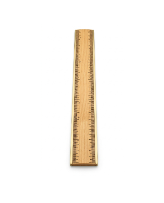 Meter Scale One Meter