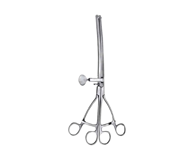 Lane’s Twin Anastomosis Clamps Straight and Curved Surgical Set