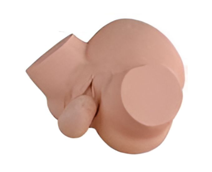 Advanced Midwifery Training Simulator for Obstetric Delivery Practice